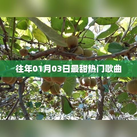 精选历年元旦最甜歌曲推荐