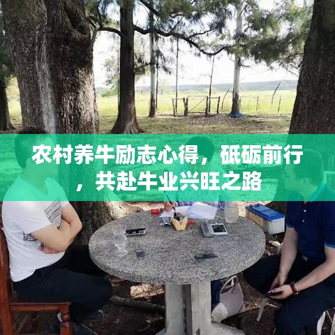 农村养牛励志心得，砥砺前行，共赴牛业兴旺之路