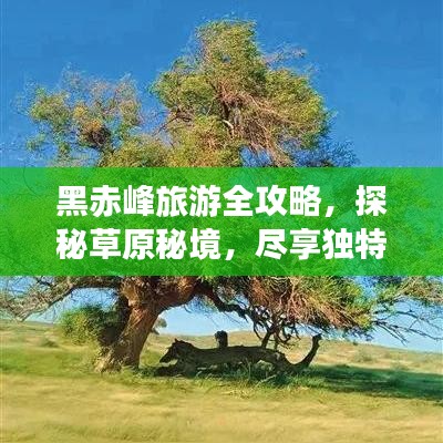 黑赤峰旅游全攻略,探秘草原秘境,尽享独特风情!