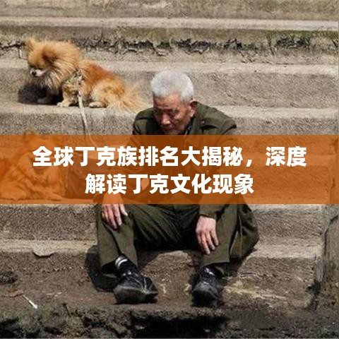 全球丁克族排名大揭秘,深度解读丁克文化现象
