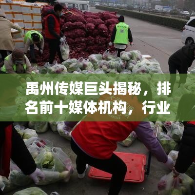 禹州传媒巨头揭秘，排名前十媒体机构，行业佼佼者风采展现