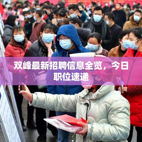 双峰最新招聘信息全览,今日职位速递