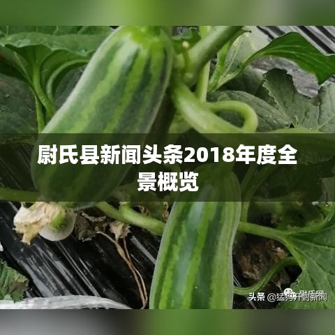 尉氏县新闻头条2018年度全景概览
