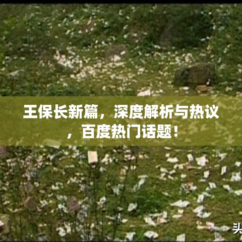 王保长新篇，深度解析与热议，百度热门话题！