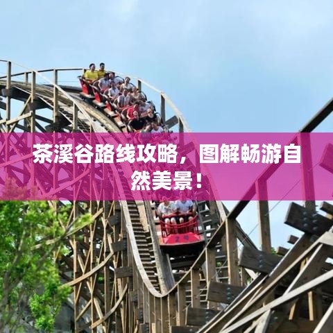 祖道供张 第4页