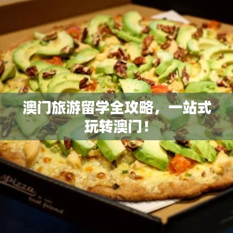 澳门旅游留学全攻略,一站式玩转澳门!