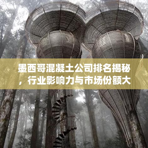 墨西哥混凝土公司排名揭秘，行业影响力与市场份额大盘点