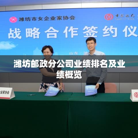 潍坊邮政分公司业绩排名及业绩概览