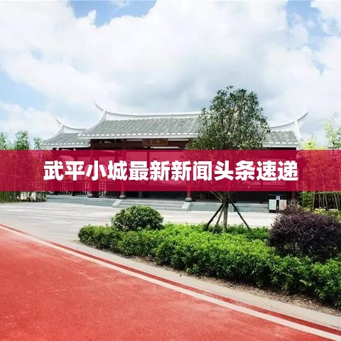 武平小城最新新闻头条速递