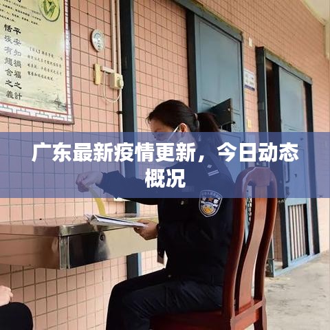 广东最新疫情更新，今日动态概况