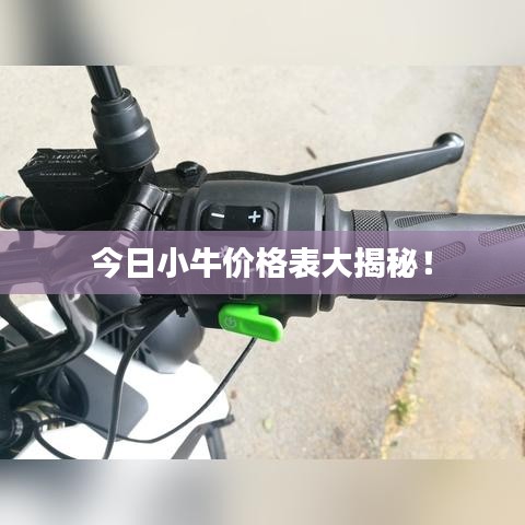 今日小牛价格表大揭秘！