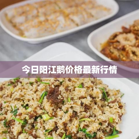 朝飞暮卷 第3页