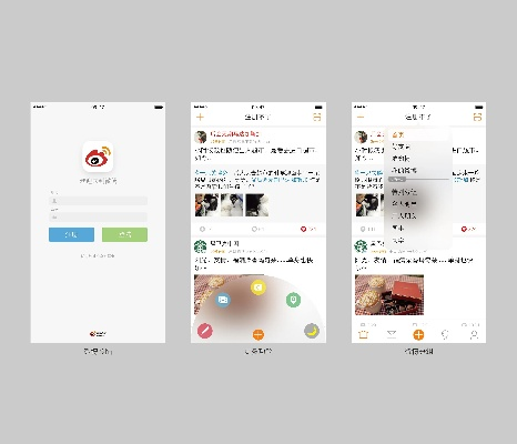 微博用qq登录的版本,深入解析数据设计_VE版_v8.789