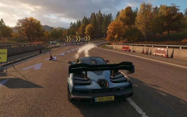 地平线4买版本区别,实地分析解释定义-Q_v5.887