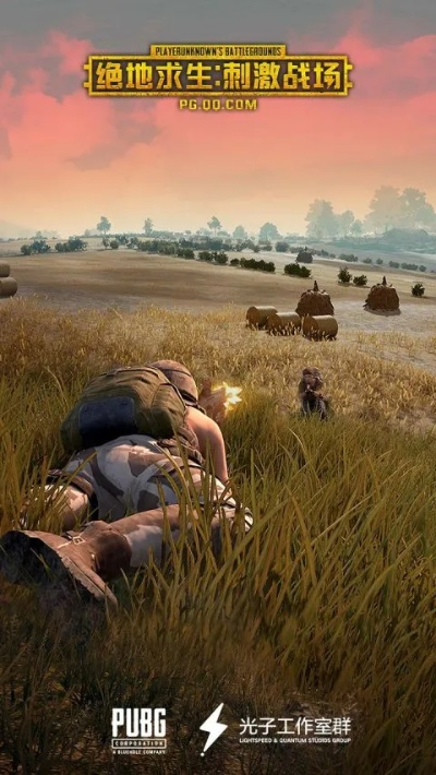 刺激战场 激活码及血流成河单机版安卓版,实效解读性策略_顶级款_v5.313