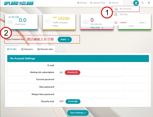 CPAU官方下载及至尊辅助激活码下载指南，新手友好，轻松上手
