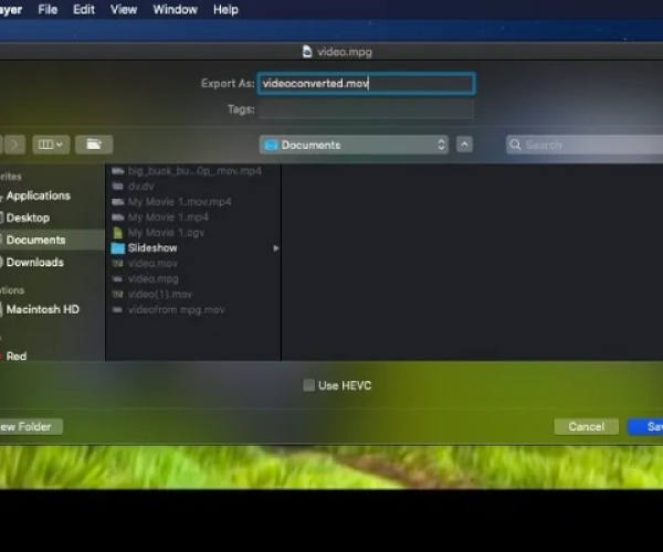 单机版master与quicktime，轻量级软件的全新体验——Z_v3.280版本介绍