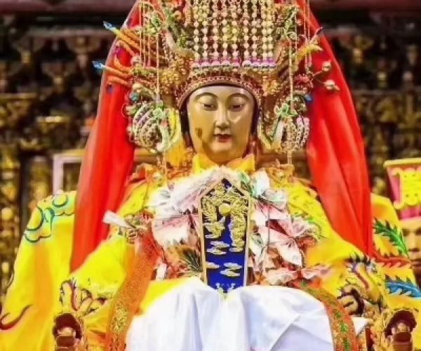 单机版妈祖同佳生活官方下载,新手友好,轻松上手