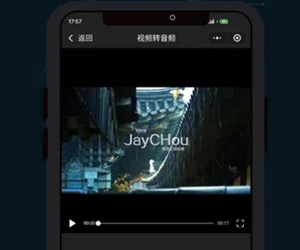 专业级工具解析，泼泼视频老版本及红杏视频app官方下载深度评估——静态版v8.795