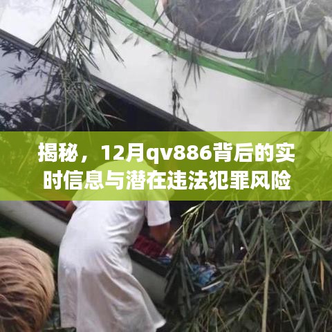 揭秘，qv886实时信息及潜在违法犯罪风险解析