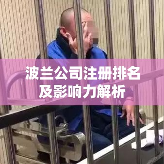 波兰公司注册排名及影响力解析