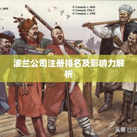 波兰公司注册排名及影响力解析