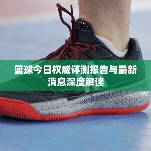 篮球今日权威评测报告与最新消息深度解读