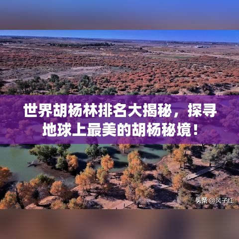 雪中送炭 第4页