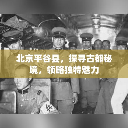 如翚斯飞 第4页