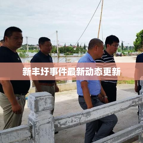 新丰圩事件最新动态更新