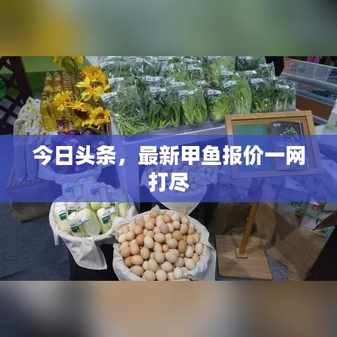 今日头条,最新甲鱼报价一网打尽