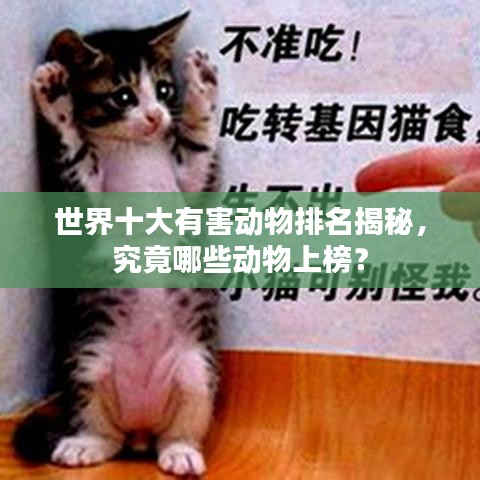 世界十大有害动物排名揭秘,究竟哪些动物上榜?