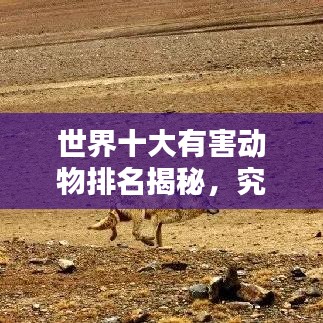 世界十大有害动物排名揭秘,究竟哪些动物上榜?
