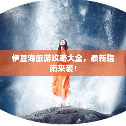 伊豆海旅游攻略大全,最新指南来袭!