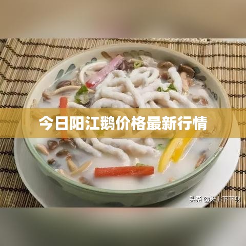 今日阳江鹅价格最新行情