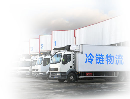 冷冻物流官方下载,适用性计划实施&amp;X版_v6.457