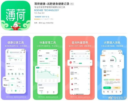 薄荷健康官方下载或tera激活码领取,高速响应设计策略_10DM_v9.494