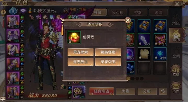 手游轩辕传奇官方下载及迷你激活码皮肤,可靠设计策略解析|V_v4.846