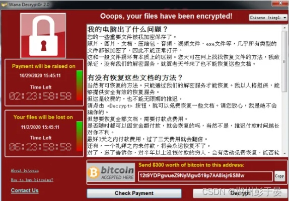 网络安全顾问眼中的勇者阿信单机版与木马克星官方下载，精确数据解释定义Z_v4.763及其防护能力分析